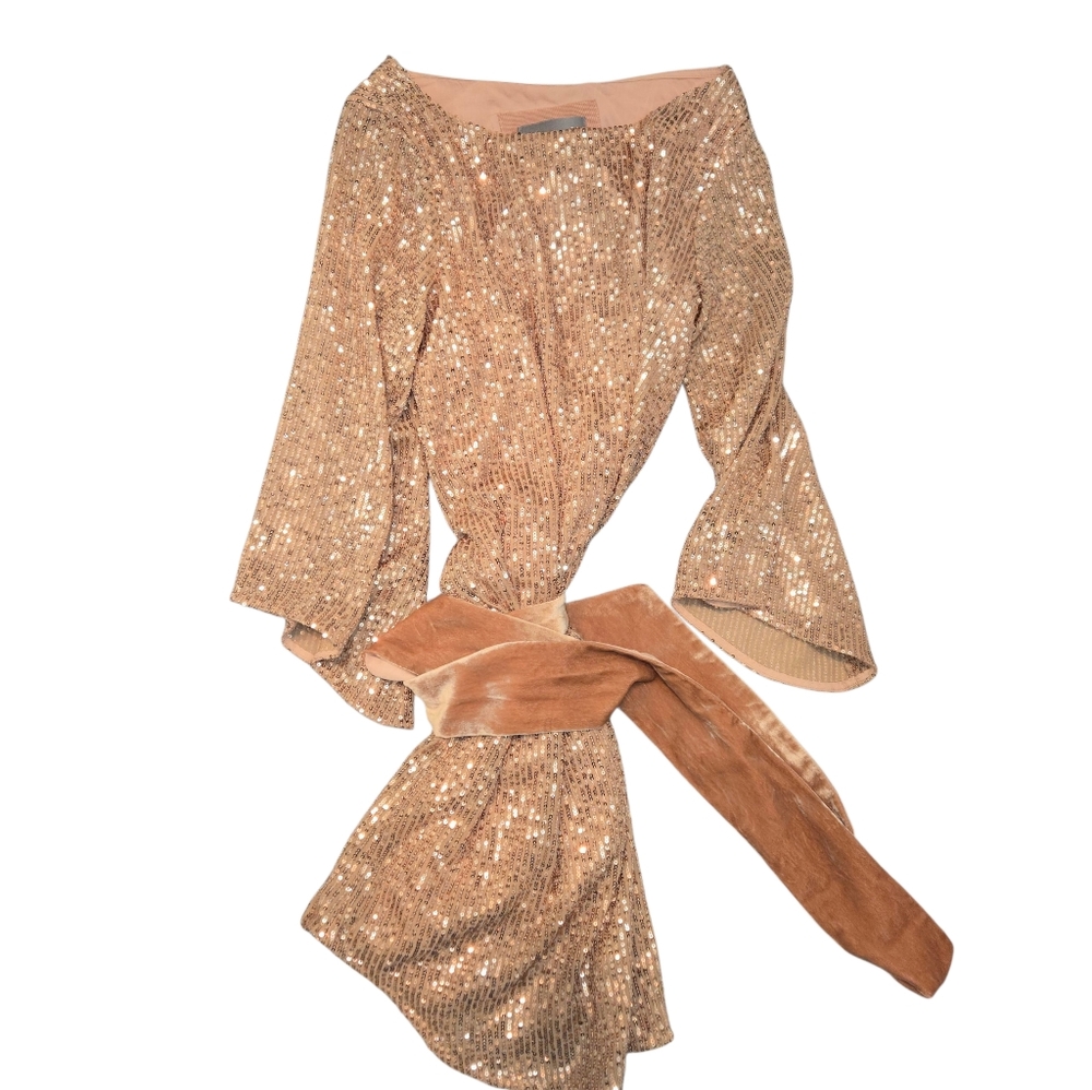 Anthropologie Starling Sequin Tunic Dress Rose Gold XS MSRP $170 - Picture 6 of 16